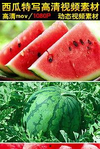 吃瓜素材视频下载软件免费,免费下载吃瓜素材，畅享视频盛宴