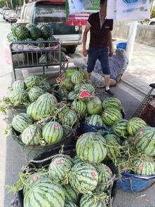 椒江吃瓜事件真相揭秘视频,揭秘背后真相与争议