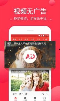 智博教育吃瓜视频下载,揭秘热门教育话题背后的真相