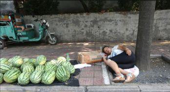 砀山最新吃瓜事件视频播放