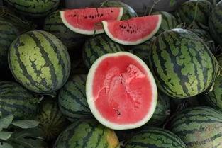 一个吃瓜视频多少钱,吃瓜视频背后的价格之谜，一瓜值多少钱？