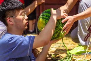 玩吃瓜视频,带你领略网络娱乐新潮流