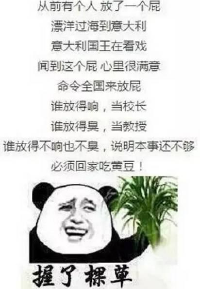 吃瓜顺口溜搞笑段子视频,笑料横生的搞笑段子视频大盘点