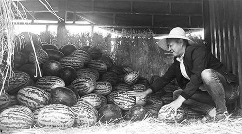 三台吃瓜群众事件视频,一场网络围观下的社会现象解析