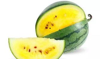 雪觅瓜怎么吃最好吃视频,视频揭秘最佳食用方法