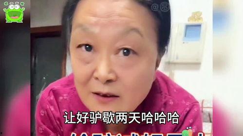 吃瓜大妈搞笑语录视频,笑料百出，欢乐无限